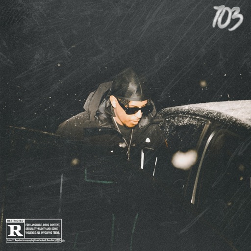 YL Vision – 703